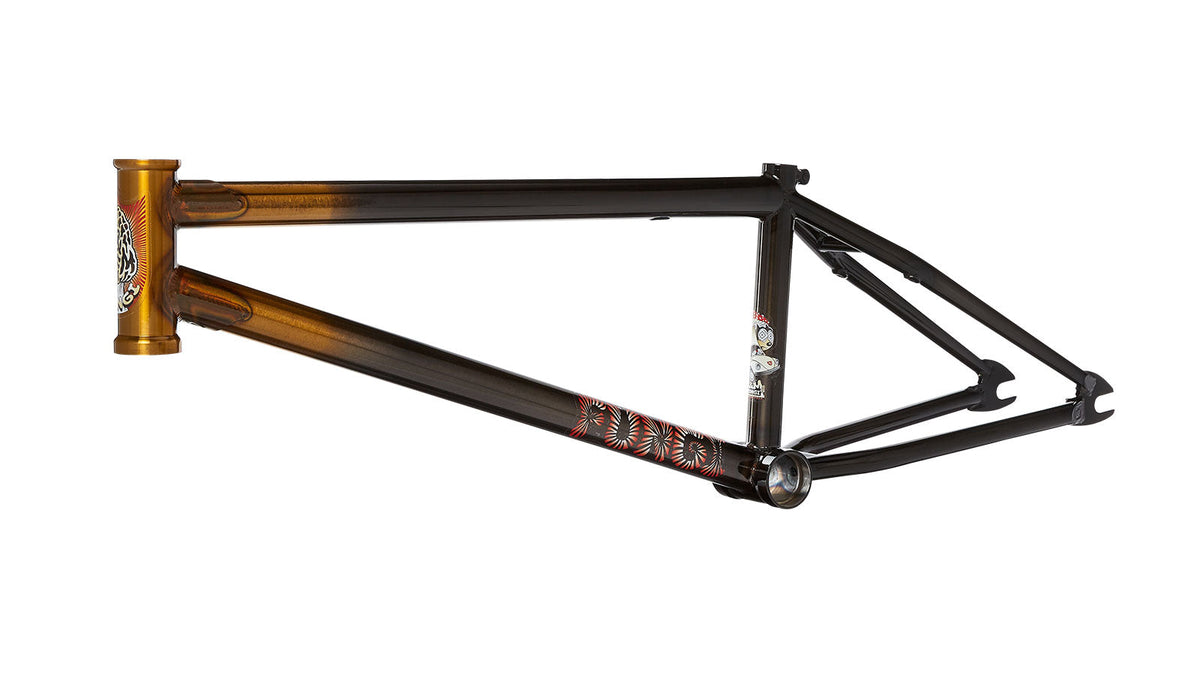 NORVELL SIG. FUNGI FRAME TRANS GOLD FADE TRANS BLACK 20.75"