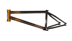 NORVELL SIG. FUNGI FRAME TRANS GOLD FADE TRANS BLACK 20.75"